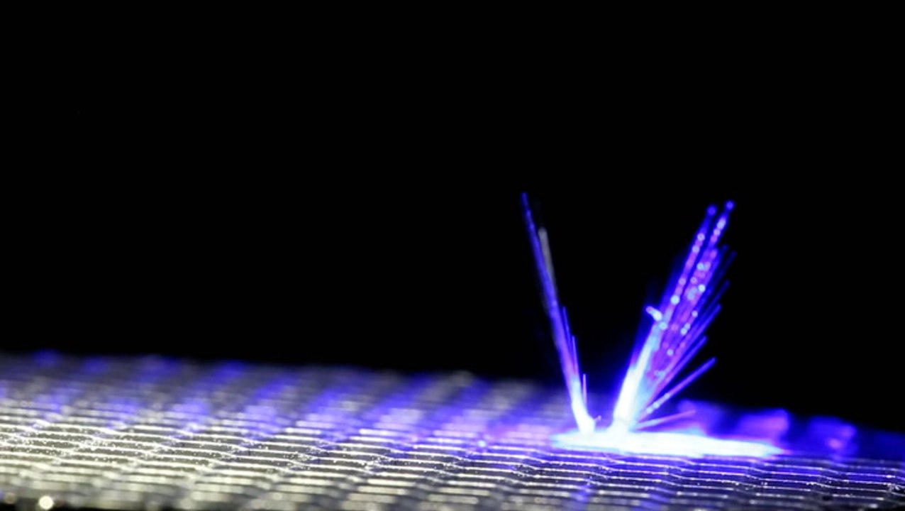 Winged robot smaller than a pea could pollinate crops