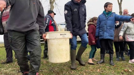 Plus de 800kg de poisson lâché par les enfants, à Cuzieu