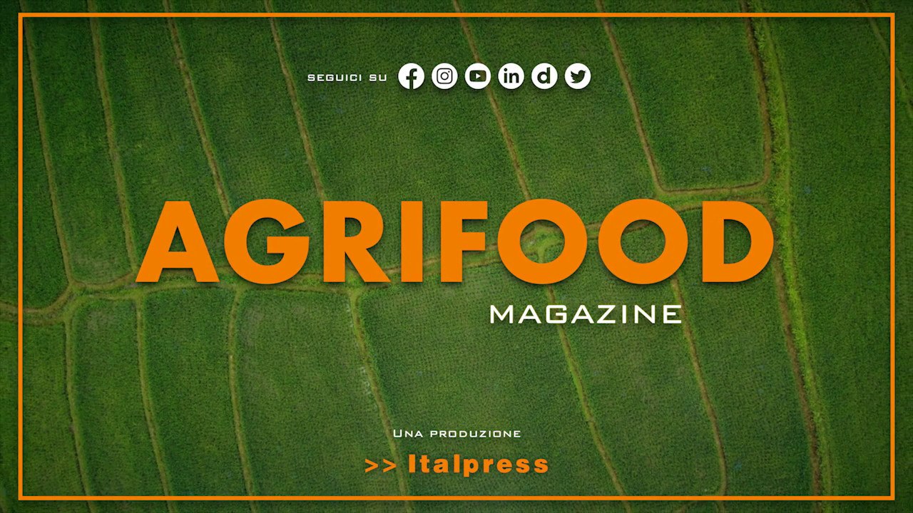 Agrifood Magazine - 1/2/2023
