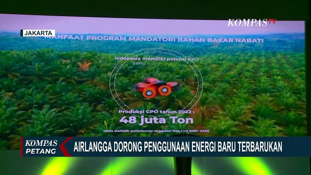 Airlangga Dukung Penggunaan Energi Baru Terbarukan: Dapat Hemat Devisa Negara 10,75 Miliar Dollar AS
