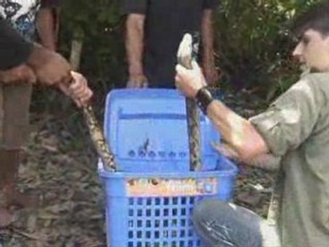 Ep 1 Partie 1 Les Missions de Chanee, Kalaweit