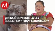 Reyna Victoria Cervantes defiende su iniciativa de perros 