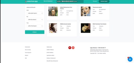 Online Veteriner Danışma - Merak Ettiğiniz Her Şeyi Sorabilirsiniz