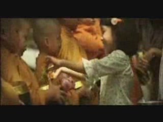 Novice in Summer - MV