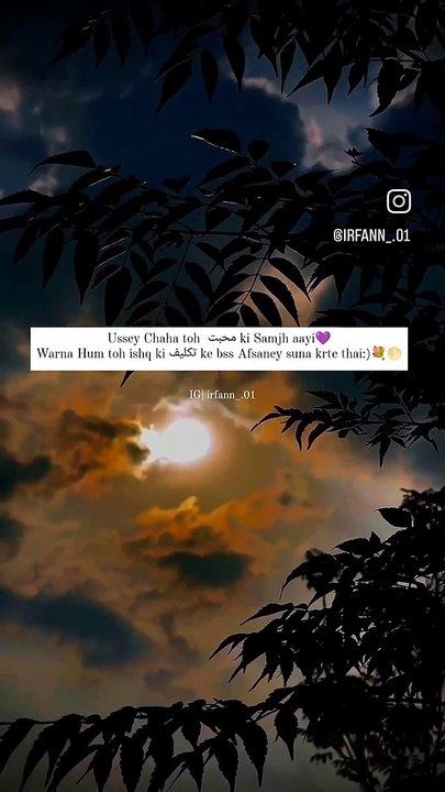 Ussey Chaha toh  محبت ki Samjh aayi Warna Hum toh ishq ki تکلیف ke bss Afsaney suna krte thai:)