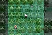 Pokémon Version Émeraude online multiplayer - gba