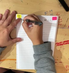 Page 33 of BOOK TWO - SUBJECTS OF LIFE being written