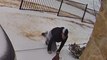 Man Slips on Icy Porch and Hilariously Struggles to Get Back Inside