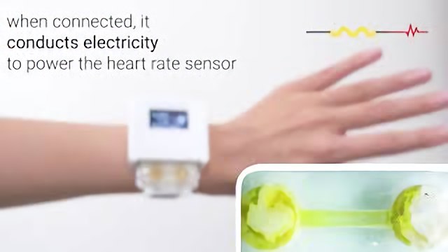 Integración de organismos vivos en dispositivos para implementar interacciones basadas en el cuidado