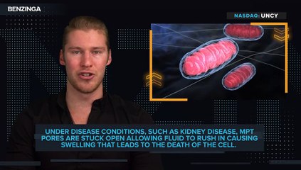 Mighty Mitochondria: $UNCY Is Developing A Novel Drug for Kidney Disease By Targeting The Powerhouse