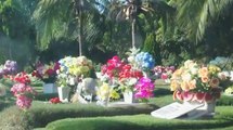 Denuncian exhumaciones ilegales en cementerio de Cartagena