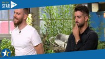 Qui veut être mon associé ? : pourquoi James et Clément (Capillum) ont refusé les 500 000 euros d'An