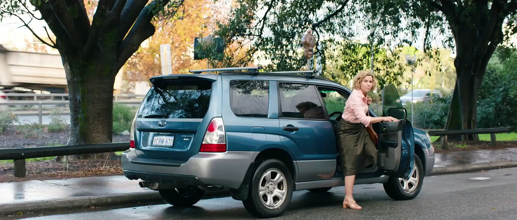 DAS REINSTE VERGNÜGEN Film