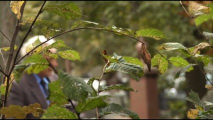 Titanic The Canadian Story Part 2