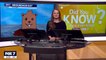 Did You Know_ What is Groundhog Day _ FOX 7 Austin