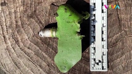 HRW Endus Penggunaan Senjata Terlarang Militer Ukraina