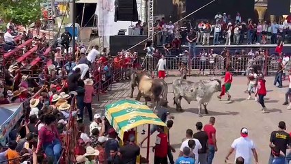 Arremeten contra 6 toros en encierro de Tlacotalpan