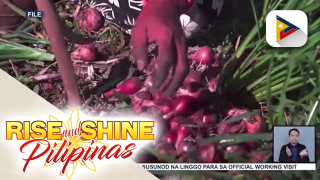 Pagtatayo ng Philippine Onion Research Institute, isinusulong sa Kongreso; BPI: May mga hakbang ang gobyerno para matugunan ang isyu sa sibuyas