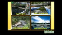 Kỹ thuật nuôi cá tầm trong lồng bè trên hồ chứa - Mô hình luân canh tôm và rong câu ở Thừa Thiên Huế
