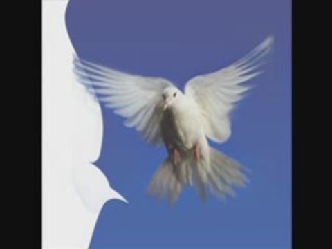 Mezwed gafsi ya lahmam tunisie