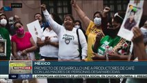 México: Alianza de mujeres productoras de café y madres de desaparecidos colaboran en las búsquedas