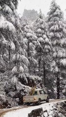 Dharamkot Dharamshala | Dharamshala Guide