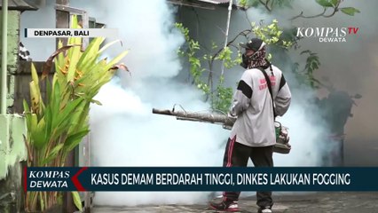 Video herunterladen: Kasus Demam Berdarah Tinggi, Dinkes Lakukan Fogging