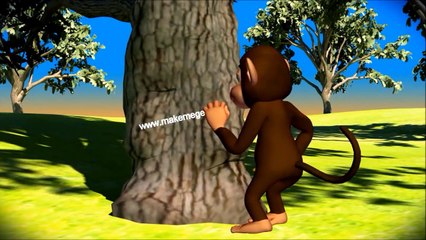 Soil Erosion Causes & Soil Conservation -Video for Kids