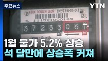 1월 물가 5.2%↑...'전기·가스·수도료' 역대 최대 상승 / YTN