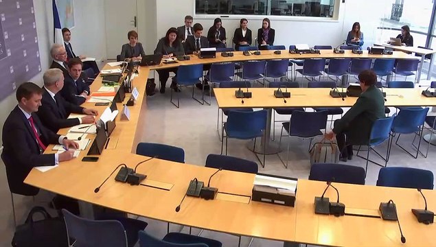 Commission des affaires européennes : Audition de Son Exc. Håkan ÅKESSON, Ambassadeur de Suède en France, sur les priorités de la Présidence suédoise du Conseil de l'Union européenne - Mercredi 1 février 2023