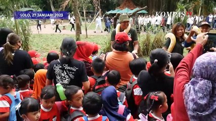 Edukatif! Solo Safari Jadi Alternatif Mengenal Bermacam Binatang Secara Langsung