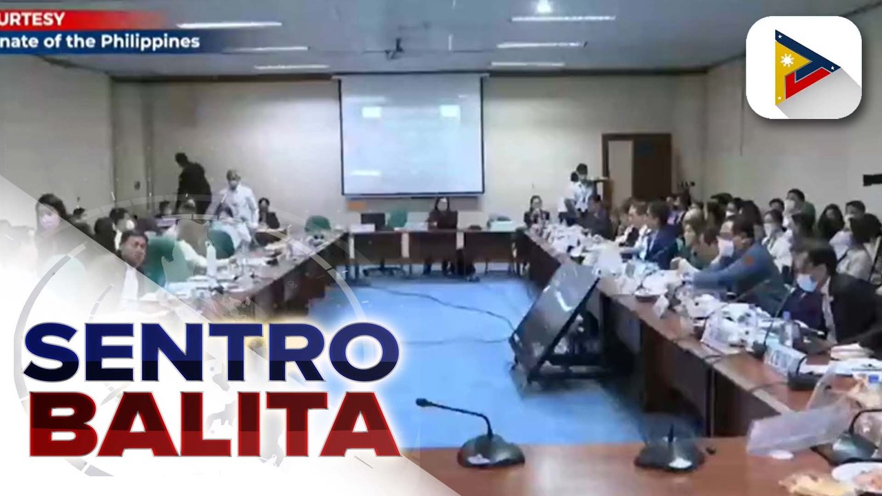 DOF Sec. Diokno, inilatag sa mga senador kung paano matitiyak na hindi mapupulitika ang panukalang MIF