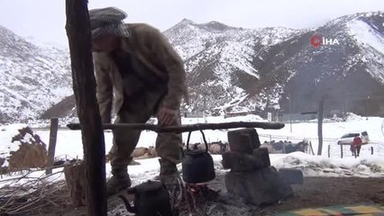 Şırnaklı besicilerin ömrü yazın yaylada, kışın ilçede geçiyor