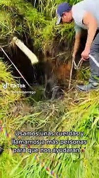 Découvrez ce jeune garçon de 16 ans qui vient d'être élu le meilleur influenceur du monde lors d'une cérémonie : Il affiche plus de 16 millions d'abonnés !