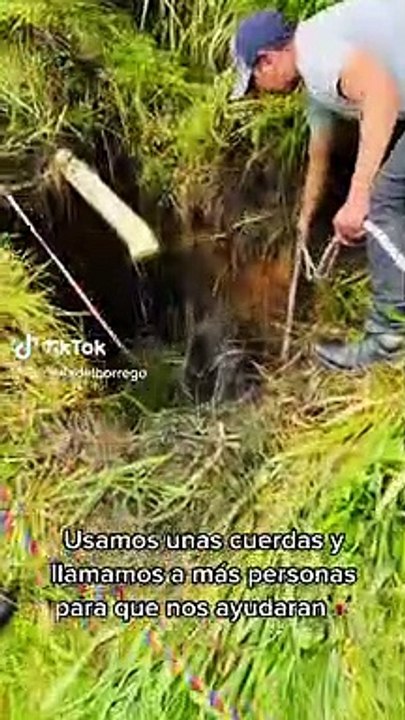 Découvrez ce jeune garçon de 16 ans qui vient d'être élu le meilleur influenceur du monde lors d'une cérémonie : Il affiche plus de 16 millions d'abonnés !