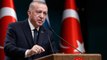 Yunan gazetesinden skandal çağrı: Erdoğan, Finlandiya ve İsveç'in NATO'ya katılmasını engellerse, Türkiye'yi ihraç edin