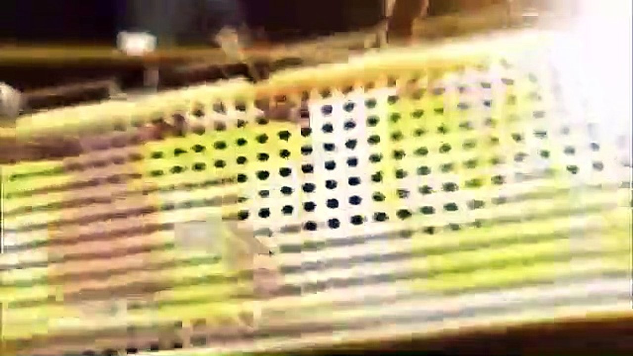 Celebrity Name Game - Se2 - Ep39 HD Watch