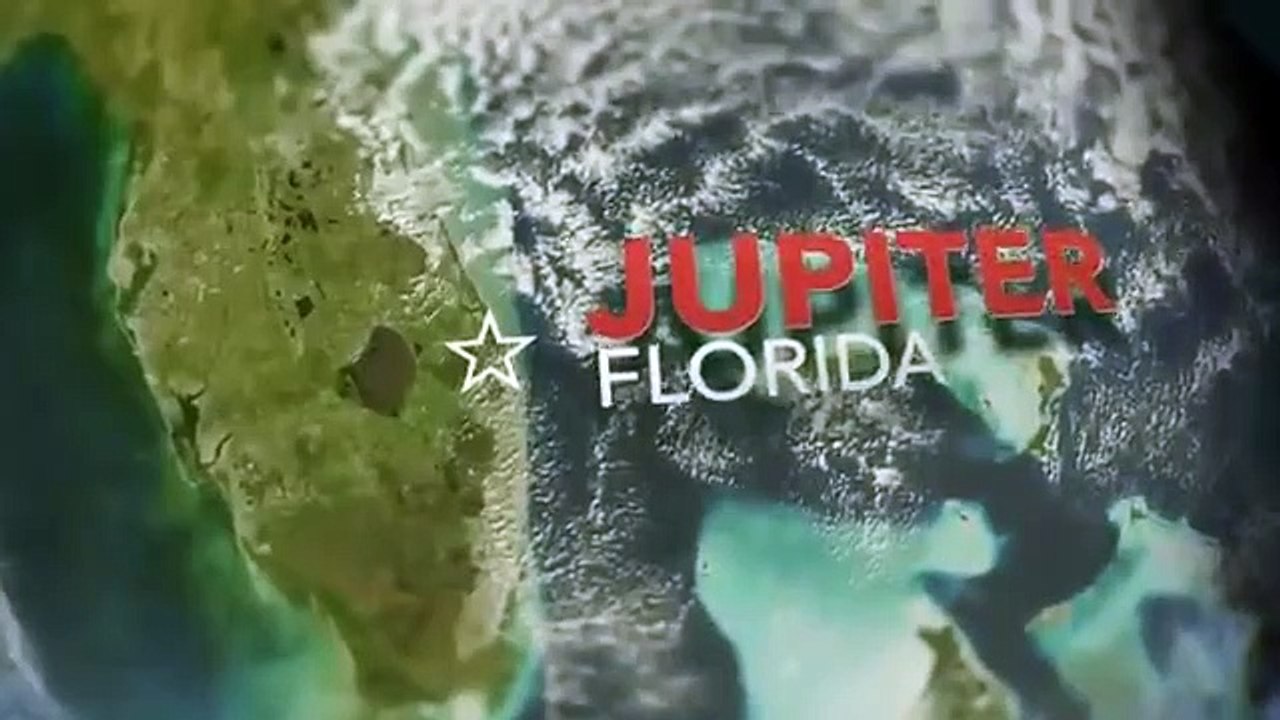 Shark Week - Se33 - Ep14 - Jaws in America (Tentative title) HD Watch