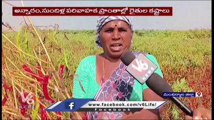 Farmers Huge Loss With Kaleshwaram Project Spring Water _ Mancherial _ V6 News