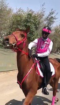 UAE: Pink Caravan for breast cancer awareness