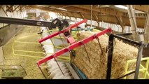 Amazing Million Goat Farming - Modern Goat Milking System