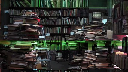 La Pirateca, la biblioteca ilegal online de libros gratis