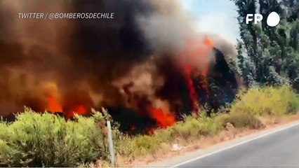 Emergencia en Chile por más de 200 incendios en la zona centro sur