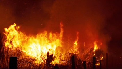 VIENDRA LE FEU bande-annonce, sortie le 4/09/2018