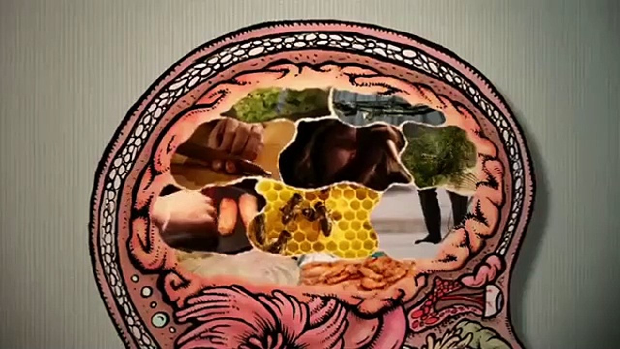 The Mind Of A Chef- Se3 - Ep10 HD Watch