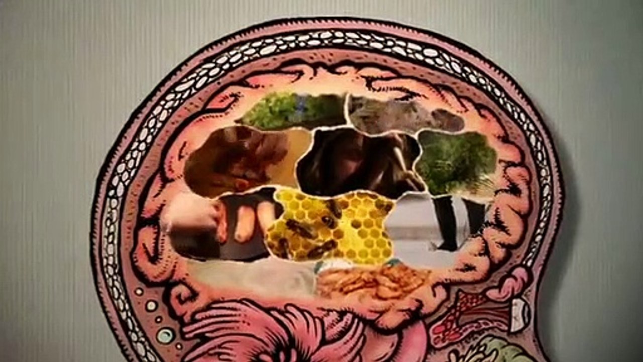 The Mind Of A Chef- Se3 - Ep11 HD Watch