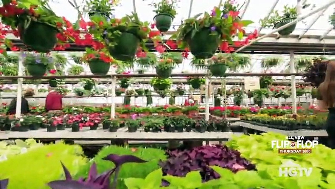 Good Bones - Se3 - Ep11- A Stately Home Full of Slithering Surprises HD Watch