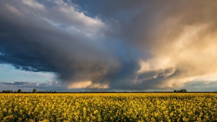 Vincent Devantay, MeteoNew : Un climat marqué par davantage d'extrêmes