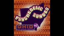 V/A — Psychedelic States: Ohio In The 60’s, Vol.2 [2005] (USA, Garage/Psychedelic Rock)