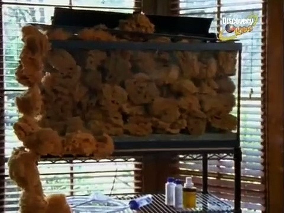 Strange Days at Blake Holsey High - Ep20 HD Watch